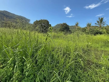 Land