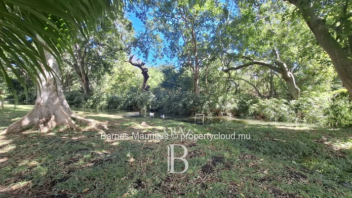 BAMBOU - Modern Villa - 4 Bedrooms