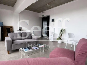 Immobilier Commerciaux