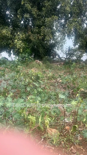 Land for Sale – Balaclava 