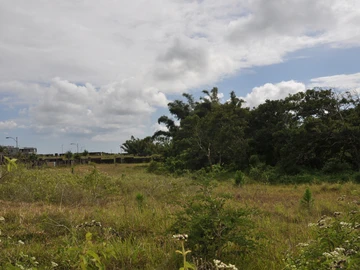 Residential Land