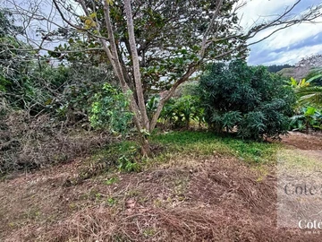 Land