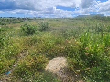 Residential Land