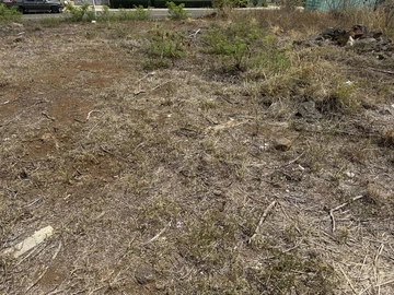 Residential Land