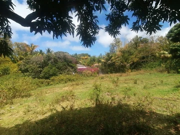 Large private land for sale, Rodrigues