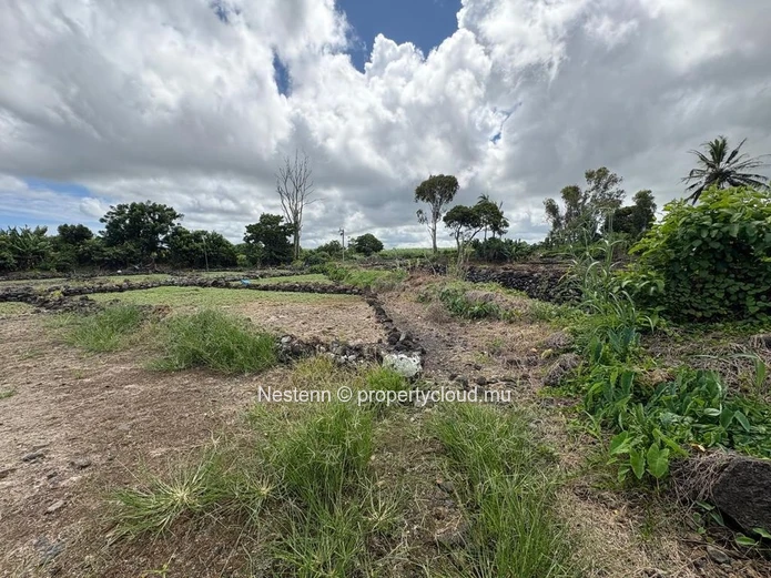 Terrain agricole de 30 perches bien entretenu et bien situé
