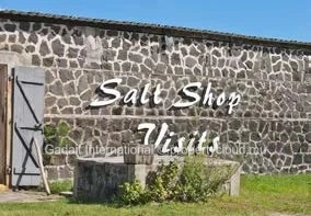 Apartment for sale with sea view in Tamarin, Mauritius