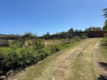 Terrain