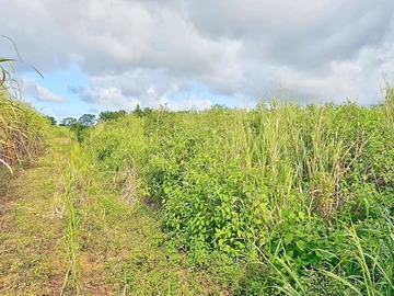 Terrain Agricole