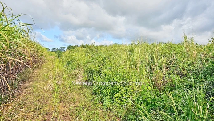 Terrain Agricole de 5,099m²/ 1.21 Arpents 
