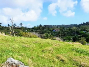 Land