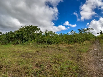 Agricultural Land