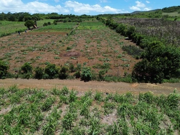 Terrain Agricole