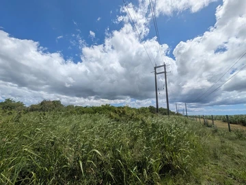 Terrain Agricole