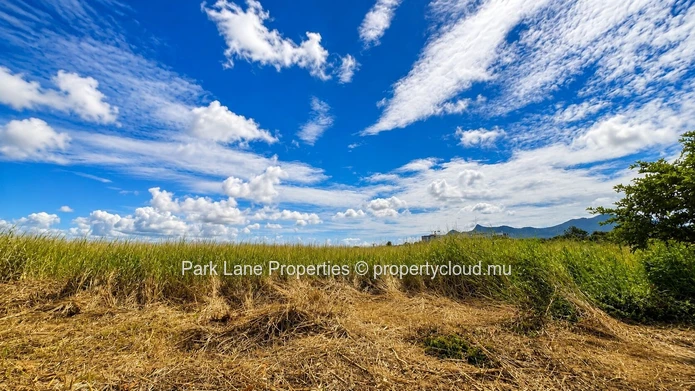 Vaste terrain agricole de 15 360 m² à Trianon – Vue panoramique sur la montagne