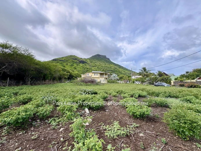 Une occasion rare de construire la maison de vos rêves au cœur de Tamarin