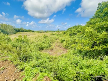 Terrain Agricole
