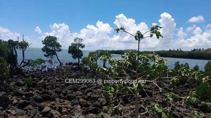 Terrain de 3.75 arpent en bord de mer à vendre à Panchavati - Île d'Ambre