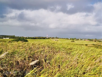 Land