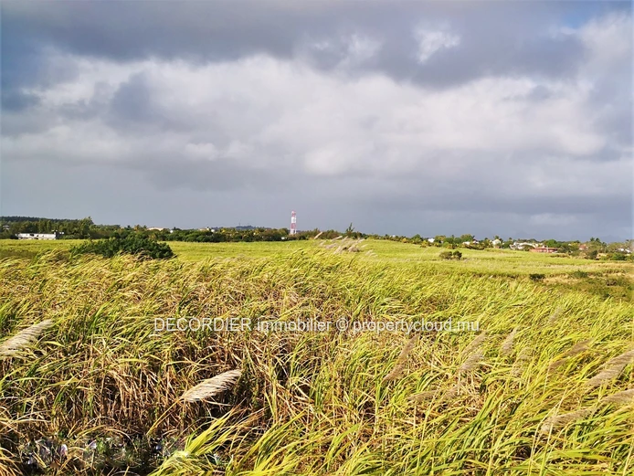 A vendre terrain agricole de 3.5 Arpents – Mont Mascal - Grand Baie
