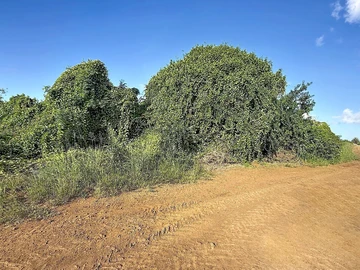 Land