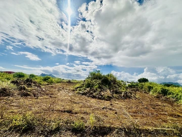 Residential Land