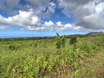 Agricultural Land