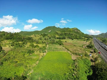 Terrain Agricole