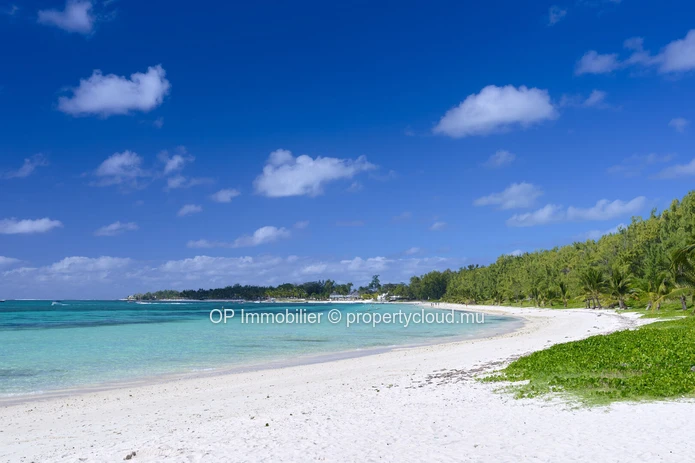 Maison 4 chambres avec piscine à vendre à Belle Mare 279m²