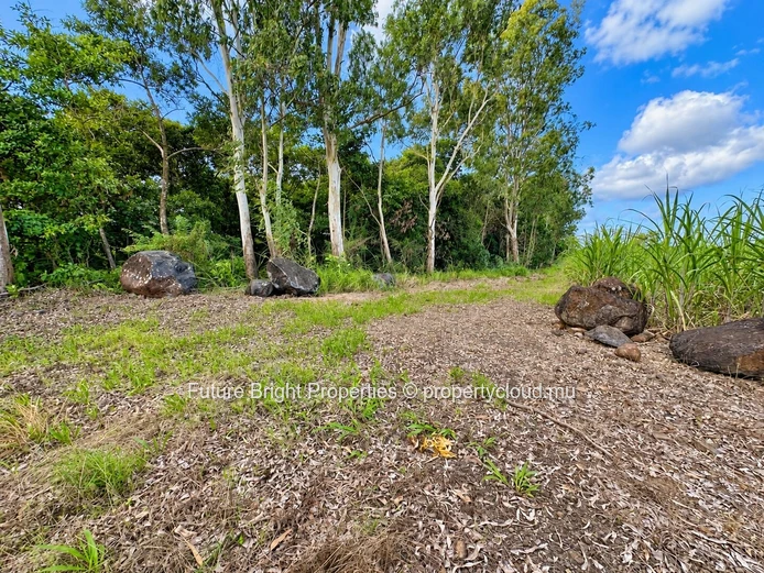 Terrain Agricole D’Exception À Mare D’Albert | Environnement Naturel Et Paisible