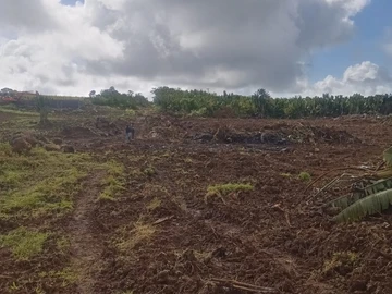 Agricultural Land
