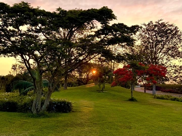 Residential Land