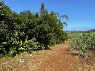Agricultural Land
