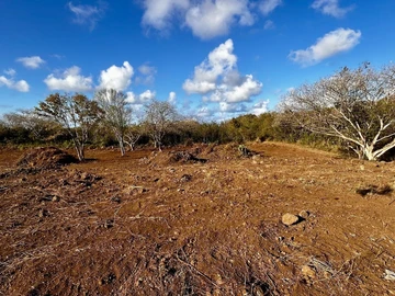 Agricultural Land
