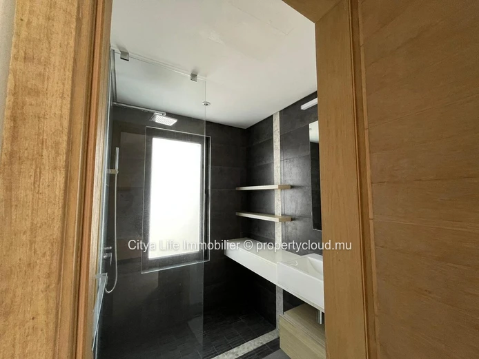 Luxury 2-bedroom apartment for rent in Choisy-les-Bain