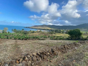 Terrain