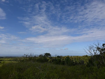 Terrain Agricole