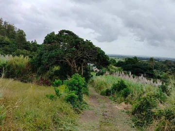 Residential Land