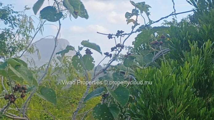 Rare residential land of one acre for sale within the Domaine de Palmyre in Petite Rivière Noire - Rs 35M.