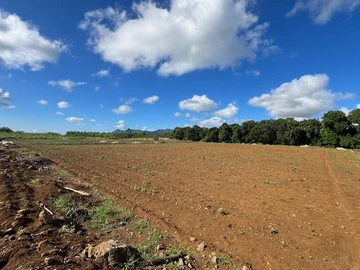 Terrain Agricole