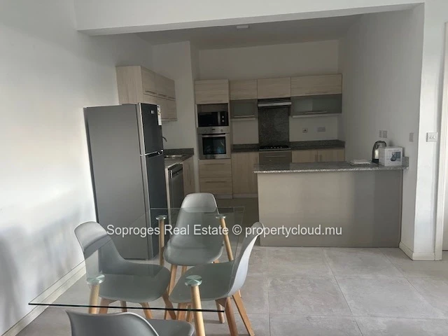 Luxurious 4-Bedroom Penthouse in Vacoas 