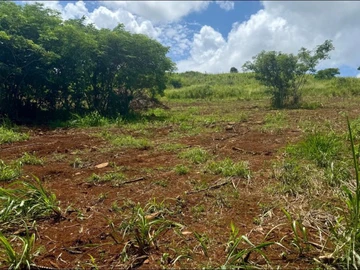 Terrain