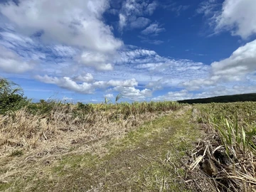 Agricultural Land