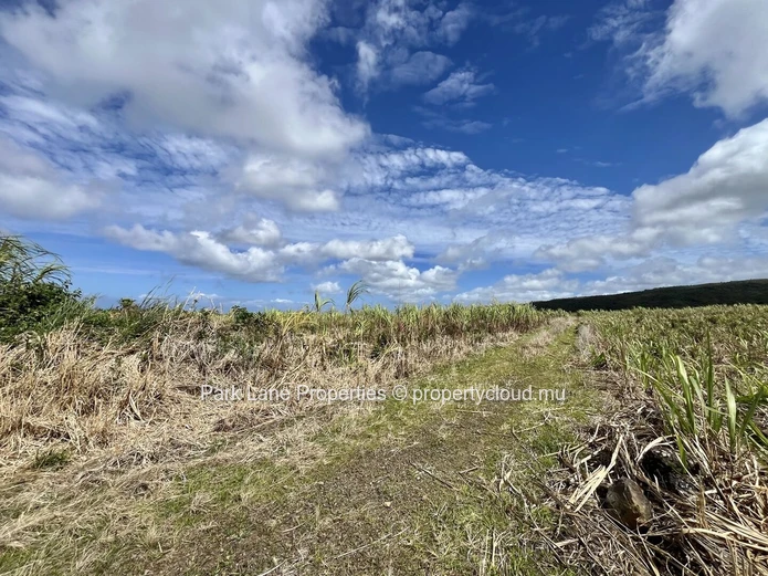 Agricultural Land for Sale in Chamouny, Mauritius – 20.80 Acres 