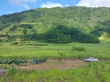 Agricultural Land