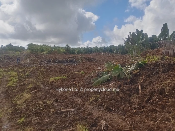 Terrain Agricole En Vente À Beau Climat