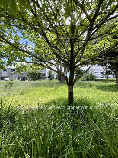 À vendre : Terrain commercial 2 000 m² – Vivea Business Park, Moka