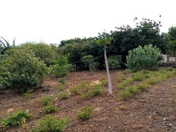 Terrain Résidentiel