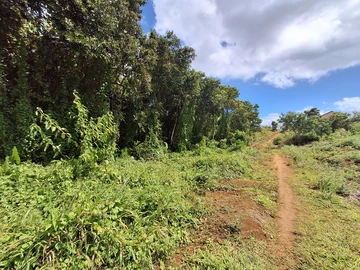 Residential Land