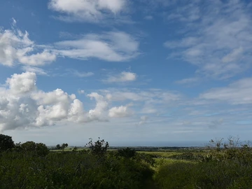 Terrain Agricole